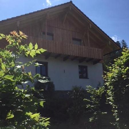 Apartament Schweizer Haeusl Bayerisch Eisenstein Zewnętrze zdjęcie